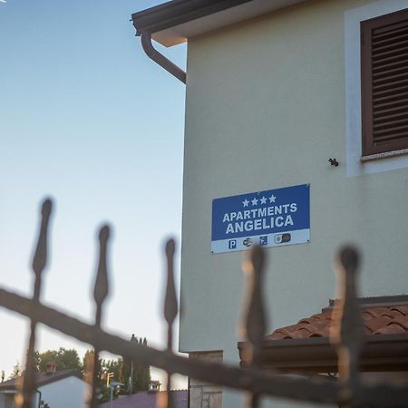 Apartments Angelica 2 Novigrad Istria Εξωτερικό φωτογραφία